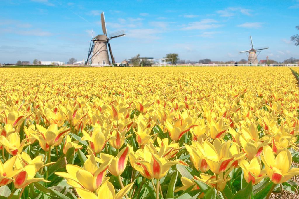 De Palatijn Hotel Alkmaar Luaran gambar